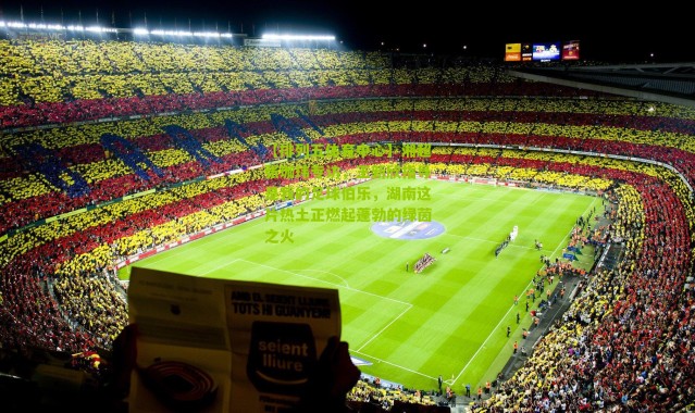 【排列五体育中心】湘超张珈玮专访，王新欣指导是我的足球伯乐，湖南这片热土正燃起蓬勃的绿茵之火